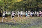 Girls under-15s, National Cross Country Relays, Berry Park, Mansfield. Photo: David T. Hewitson/Sports for All Pics